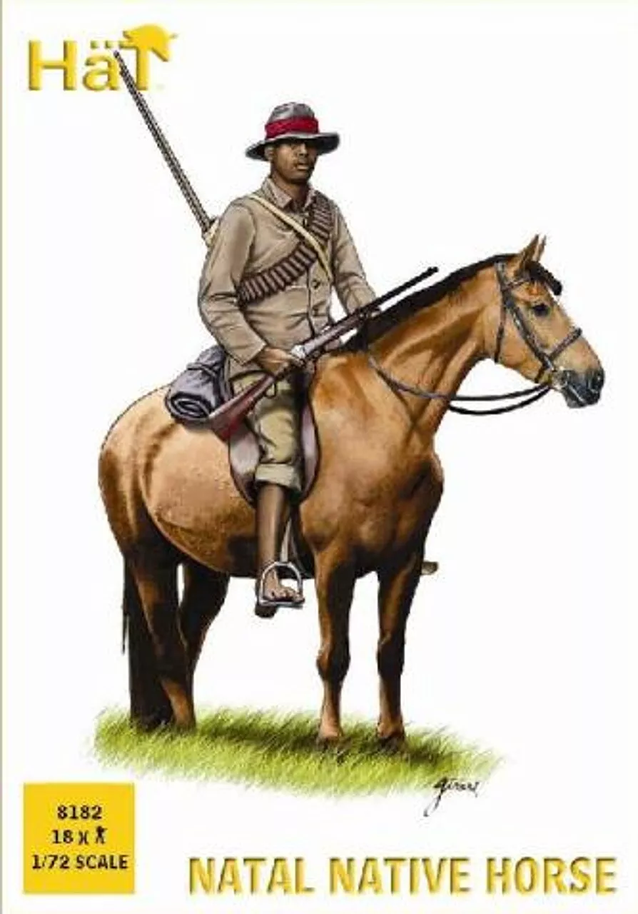 Zulu Natal Native Horse